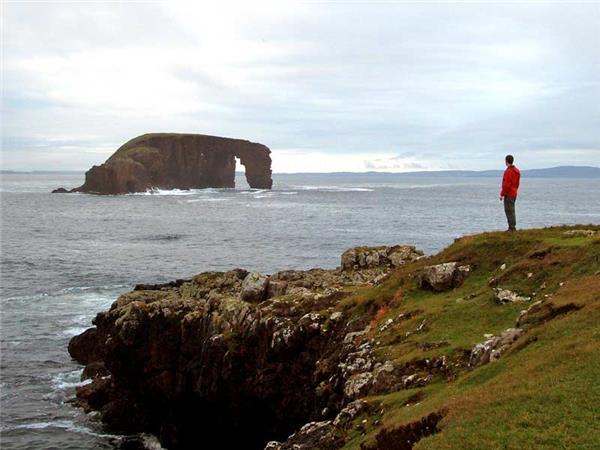 Shetland Isles wildlife holiday