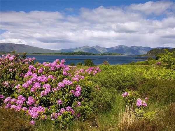 Highlands of Scotland walking holiday