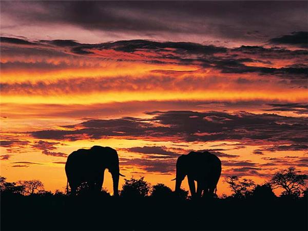 Botswana and Zimbabwe lodge safari