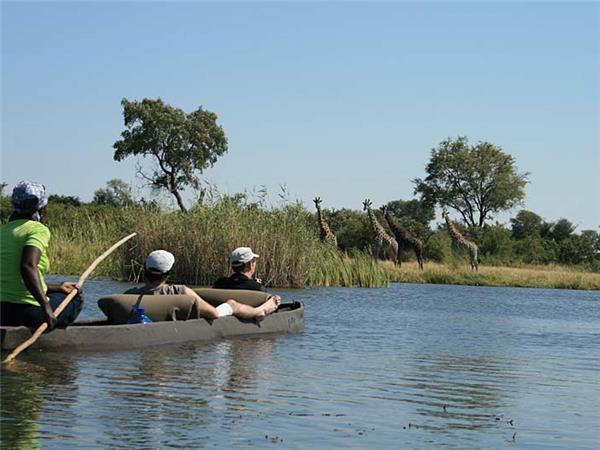Botswana and Zimbabwe lodge safari