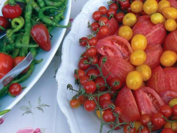 Gulet cruise and walking holiday in Turkey