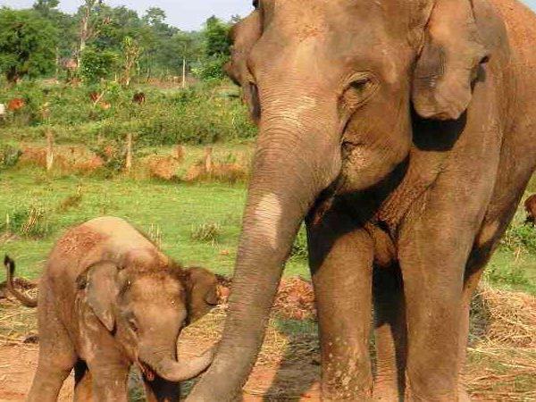 Nepal small group tour