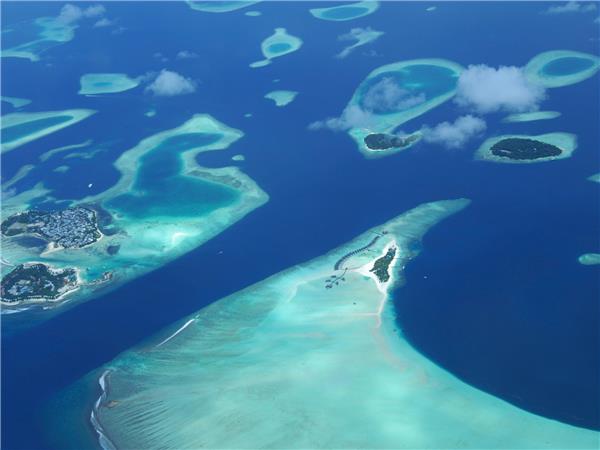 Maldives holidays, wildlife cruise