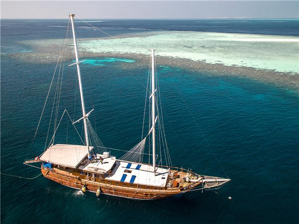 Maldives holidays, wildlife cruise