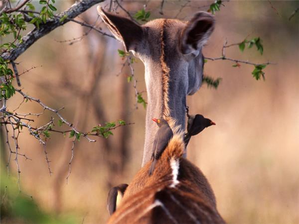 Johannesburg to Cape Town tour in South Africa