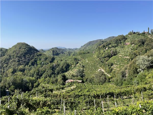 Prosecco Hills walking holiday, Italy