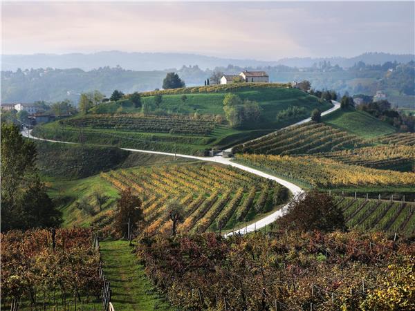 Prosecco Hills walking holiday, Italy