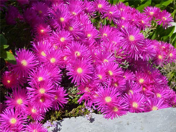 French Riviera walking holiday, France