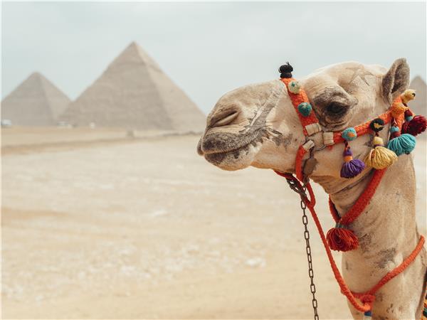 Highlights of Egypt holiday