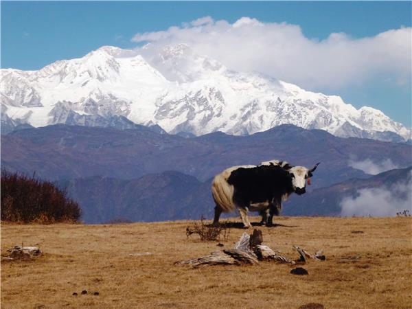 Singalila Ridge trekking holiday in India