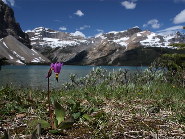 Canadian Rockies and Vancouver Island holiday