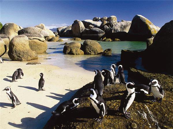 Cape Town and the Garden Route tour