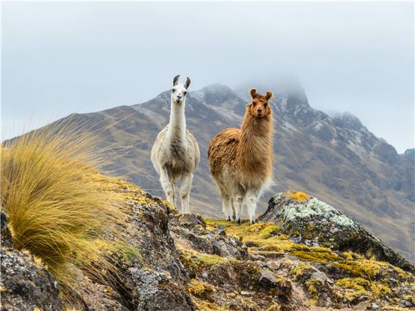 Peru holiday, encompassed