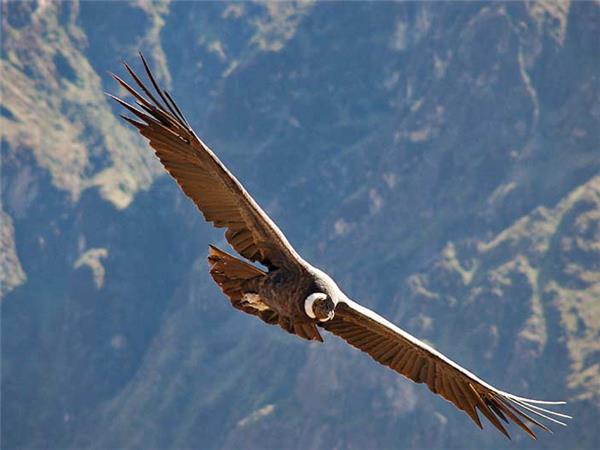 Peru holiday, encompassed