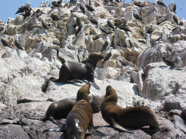 Peru holiday, encompassed