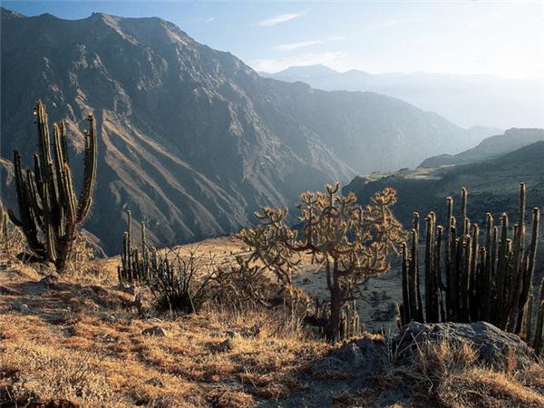 Peru holiday