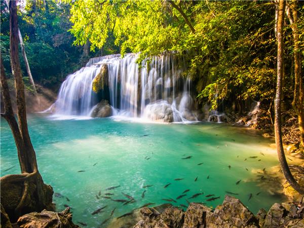 Northern Thailand cultural adventure 