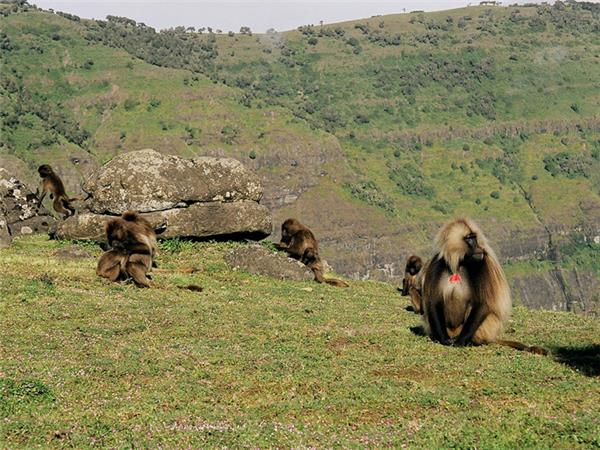 Ethiopia holiday, Ethiopia in Depth