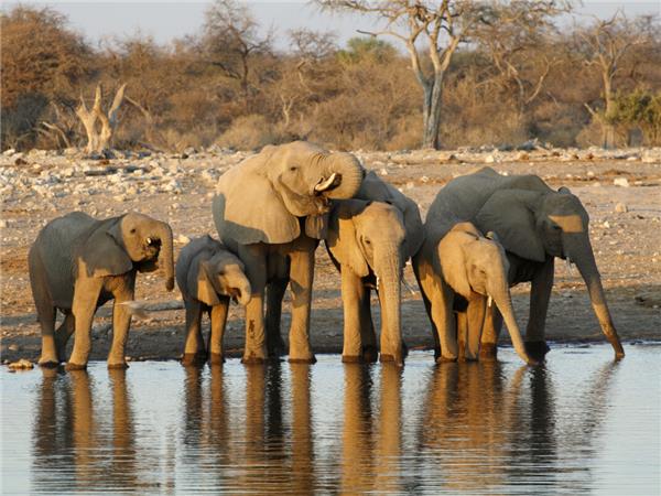 Vic Falls to Cape Town holiday in Southern Africa