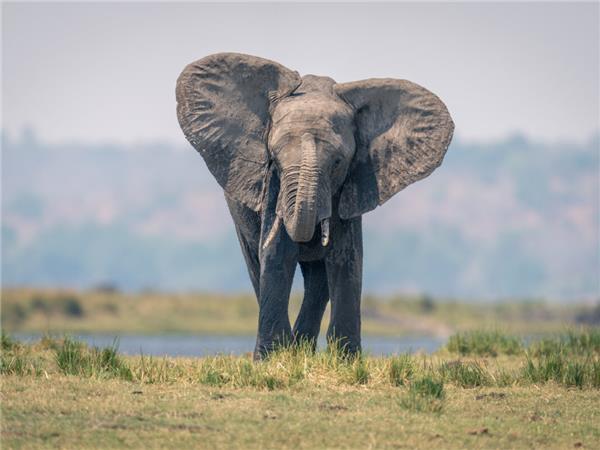 Vic Falls to Cape Town holiday in Southern Africa