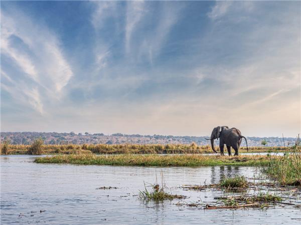 Vic Falls to Cape Town holiday in Southern Africa