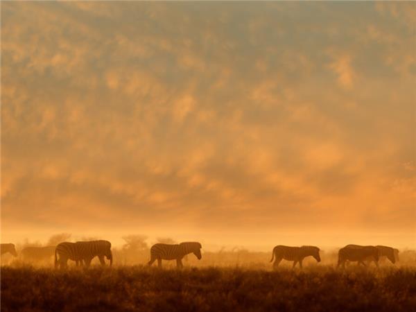Vic Falls to Cape Town holiday in Southern Africa