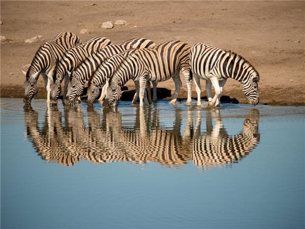 Vic Falls to Cape Town holiday in Southern Africa