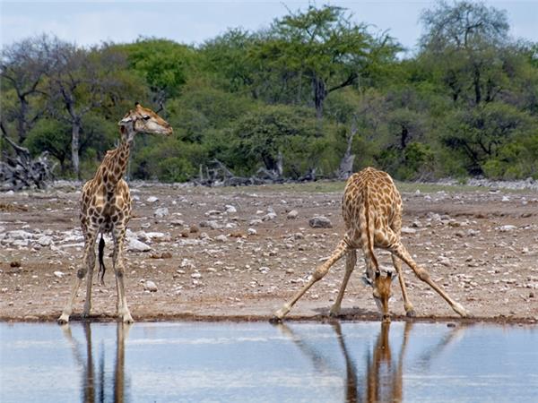 Cape Town to Vic Falls holiday in Southern Africa