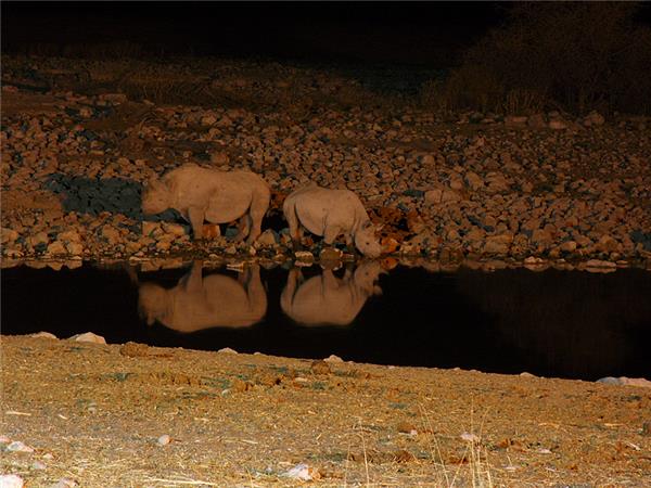 Cape Town to Vic Falls holiday in Southern Africa