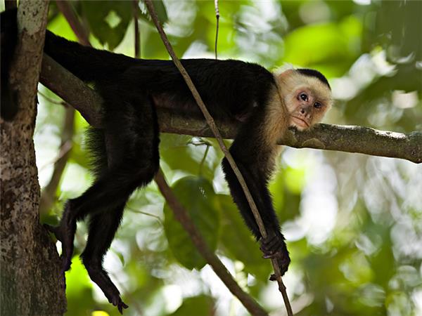 Central America cycling holiday
