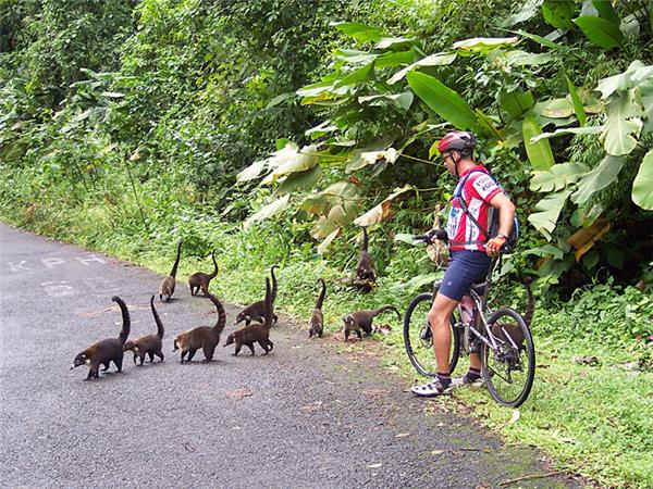 Coast to coast cycling holiday in Costa Rica