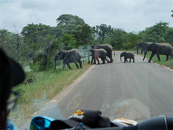 South Africa cycling holiday, Drakensberg and Kruger