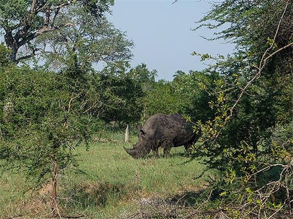 South Africa cycling holiday, Drakensberg and Kruger
