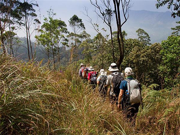 Kerala walking holiday in India