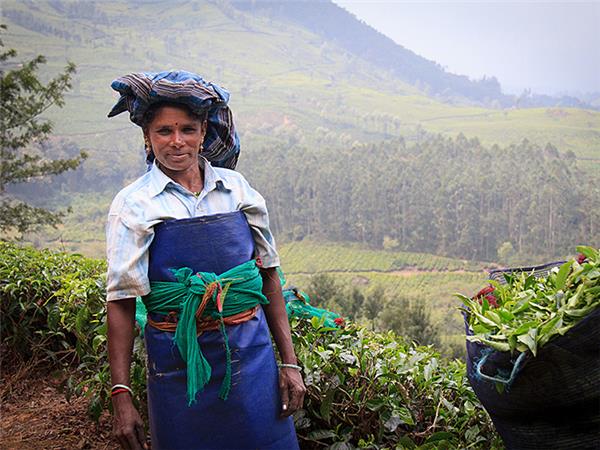 Kerala walking holiday in India