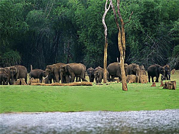 Kerala walking holiday in India
