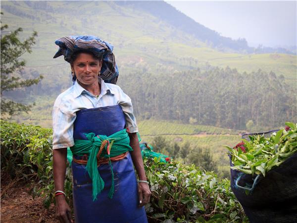 Kerala walking holiday in India