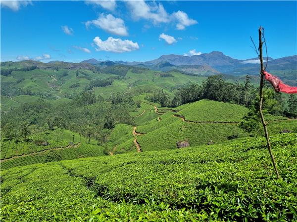 Kerala walking holiday in India