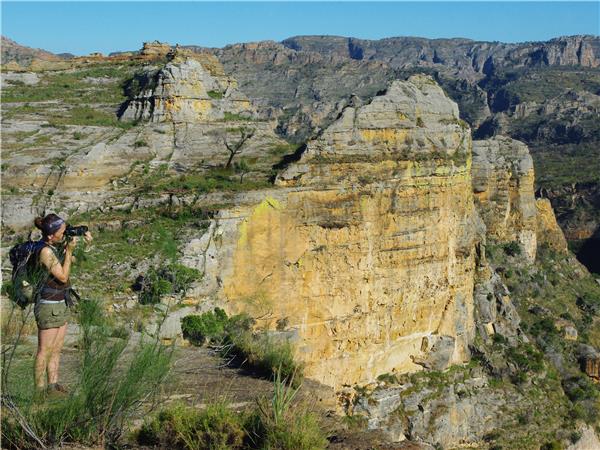 Madagascar guided wildlife adventure tour