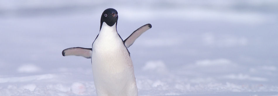 Antarctica