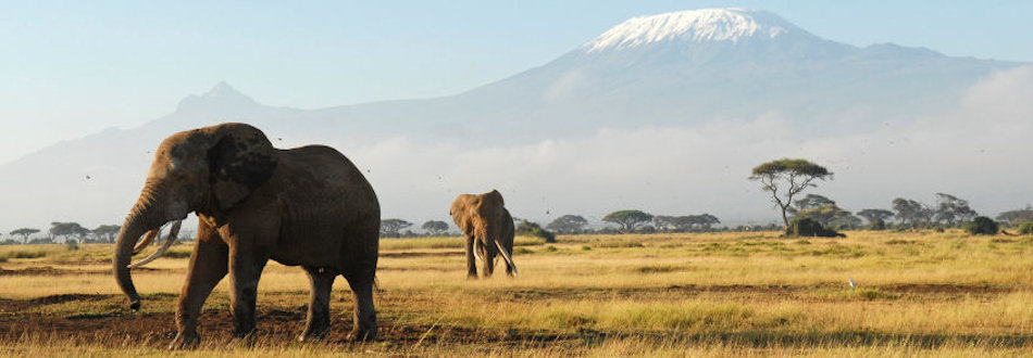 Kenya