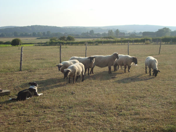 Ringmer B&B, South Downs, England