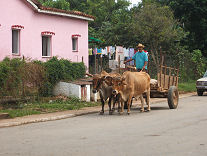 Cuba tour
