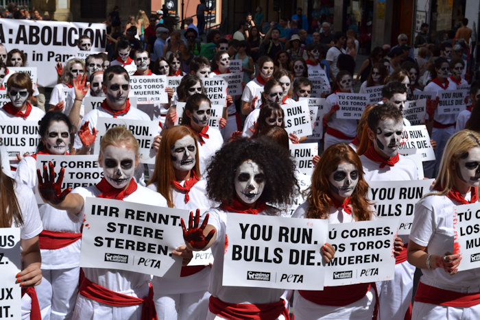 Pamplona protests,2014