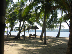 Cochin homestay, view