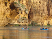 Kayaking in Murray River, South Australia. Photo by South Australia Tourist Board