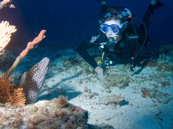 South Africa marine conservation diving holiday