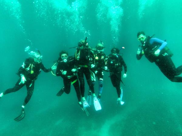 South Africa marine conservation diving holiday