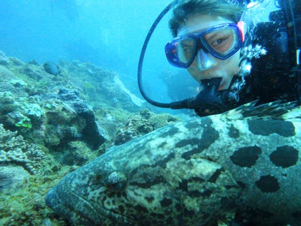 South Africa marine conservation diving holiday
