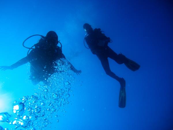 South Africa marine conservation diving holiday